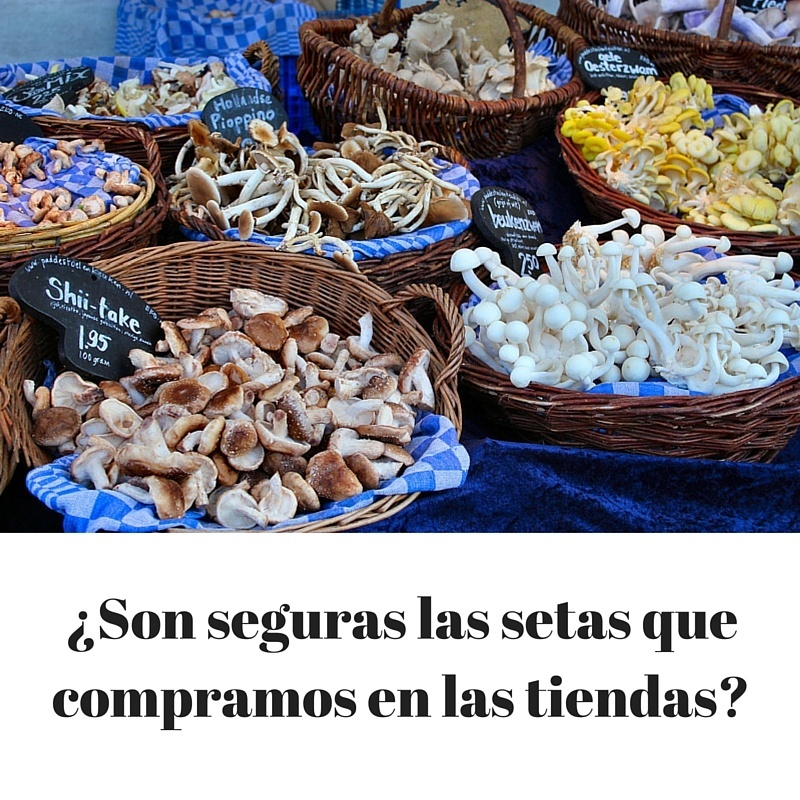 Son seguras las setas que compramos?