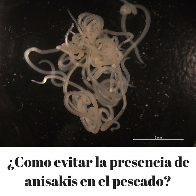 Evitar los parasitos del anisakis